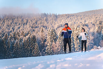 Urlaub am Bauernhof in Neureichenau